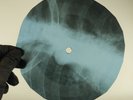 BEATLES OH DARLING X-Ray USSR Record Roentgen Bone Ribs Music Vinyl