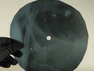 PINK FLOYD PAINT BOX X-Ray USSR Record Roentgen Bone Ribs Music Vinyl