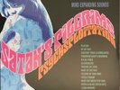 SATAN'S PILGRIMS Psychsploitation LP phantom surfers estrus mummies estrus SURF
