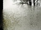 Bon Iver - For Emma Forever Ago [New Vinyl LP]