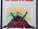 Bob Marley Framed Original 1980 Vinyl  Album Cover 