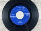 The Demens Take Me As I Am / You Broke My Heart 45 RPM 7” Vinyl Teenage Records