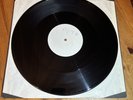 OASIS Liam & Noel Gallagher ''F----ing in the Bushes'' 12 inch PROMO With Mtx No