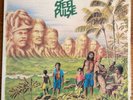 STEEL PULSE TRIBUTE TO THE MARTYRS ISLAND RECORDS ILPS9568 UK 1979 VG+/NM