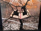 Borknagar – Epic 2004 Century Media
