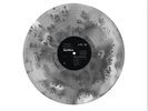 Spiritbox Tsunami Sea Foil Cover Ghostly Black Pale Chord Variant Vinyl LP
