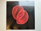 PETER GABRIEL - SCRATCH MY BACK (2010 VINYL LP RECORD) - NEW/SEALED