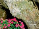 Christian Funke: Cantabile Violin Recital- Sarasate, Beethoven, Schubert/ Eterna