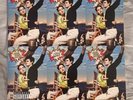 Lana Del Rey Norman Fucking Rockwell NFR Lime Green Vinyl Record LP Alt Cover