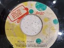 The New Establishment Rock Fort Rock JA 7