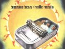 Beastie Boys Hello Nasty (1998) US Black Vinyl 2LP [C1 7243 8 37716 1 5] EX/M-