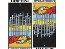 Gimp Fist Losing Streak (Vinyl) 12