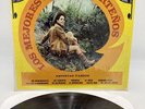 various artists LOS MEJORES EXITOS NORTENOS (DISCOS AZTECA VINYL LP) NM- (RARE )