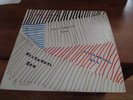 NOCTURNAL ZOO - s/t Lp -  1987 Private Press 300 copies - Chameleons The Sound