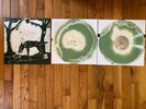Sleepytime Gorilla Museum Of Natural History SWIRL LP NEW UNPLAYED Vinyl Record