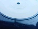 The Damned - Dodgy Demo Co White Label 7