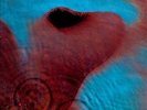 Pink Floyd - Meddle (VINYL) - ROCK *SEALED*