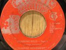 SUNRISE MOVEMENT   Running Wild   funk soul 45   Ghetto Productions