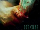 Ice Cube: Everythangs Corrupt (2LP) - LP vinyl *SEALED*