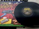 Snoop Dogg – Doggystyle OG 1993 2nd Misprint Press LP In Picture Cover VG+/VG