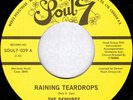 The Demures - Raining Teardrops / The Sly, Slick, And The Wicked, 7