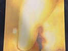 Smashing Pumpkins Pisces Iscariot 2LP Vinyl Record NEW Sealed