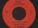 HEAR- Rare Garage / Doo Wop 45 - Terry Dee & The Road Runners- Sticks And Stones