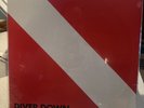 Sealed VAN HALEN Diver Down LP  1982 OG Club