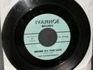 *HEAR* The Thunderbirds 1966 Before It's Too Late 45 Ivanhoe 1713 Chicago Garage