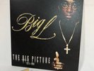 Big L The Big Picture 2LP Vinyl (1974 - 1999) 2000 US ORIGINAL RAWKUS RWK-1178