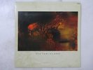 Cocteau Twins Victorialand 4AD YQ-7049 Japan Promo VINYL LP
