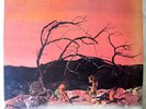 C.A. QUINTET - Trip Thru Hell MINT legendary PSYCH rock  '83 Psycho reissue lp
