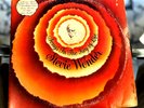 STEVIE WONDER 