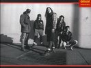 Pearl Jam Live in Chicago 180-gram RED vinyl record LIMITED EDITION New Sealed