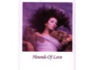 Kate Bush - Hounds Of Love 2018 Remaster Ecop (Vinyl Tape - 1985 - EU - Reissue)