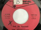 The Pretenders - Just Be Yourself 45 Carnival Rare Disco Soul