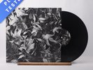 Bark Psychosis All Different Things / By-Blow 12