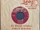 Curley Gibson And The Sunshine Boys The Way I Feel Rare Leo Country Hillbilly 45