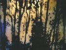 MAZZY STAR - Still - Vinyl (180 gram vinyl 12