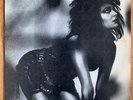 Siouxsie and the Banshees  vinyl record