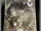 Trashcan Sinatras - Wild Pendulum LP On Silver Vinyl Numbered Alt Rock RSD