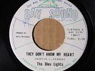 The Bleu Lights - They Don't Know My Heart - BAY SOUND 67003 VG+/M- SOUL