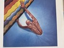 The Fixx Reach The Beach Original  1983 MCA-39001 EX/EX