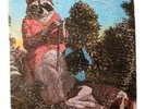 J.J. Cale Naturally Vinyl LP ABC Records
