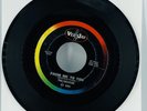THE BEATLES From Me to You / Thank You Girl 63-3218 Vee Jay Records 1963