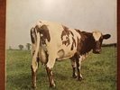 Pink Floyd 1970 EMI Harvest gatefold LP Atom Heart Mother, 1st UK pressing, EX