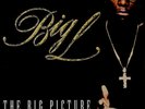 Big L - The Big Picture (1974 - 1999) (2xLP, Album) 2000 (VG|VG)