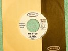 1965 The Remains - Why Do I Cry - Epic 5-9783 PROMO Garage Rock 7