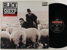 Black Sheep 