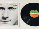 Phil Collins 